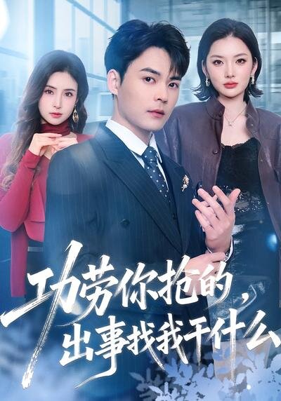 功劳你抢的,出事找我干什么海报
