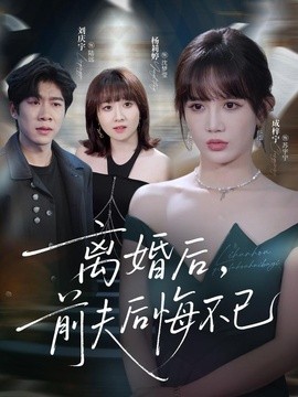 离婚后前夫后悔不已海报