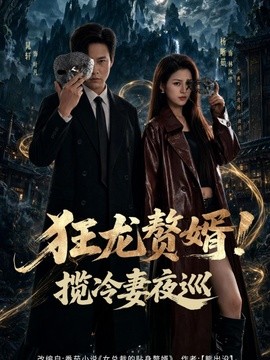 狂龙赘婿!揽冷妻夜巡海报