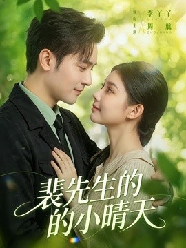 裴先生的小晴天海报
