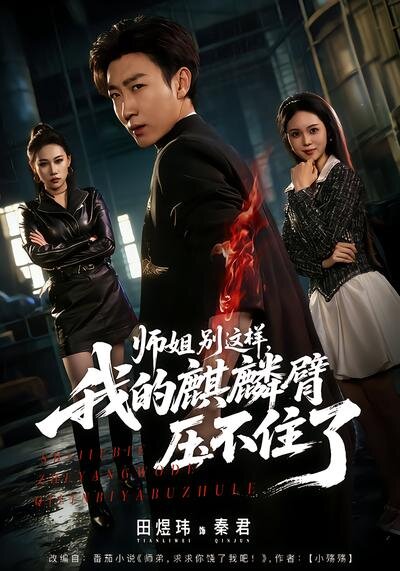 师姐别这样,我的麒麟臂压不住了海报