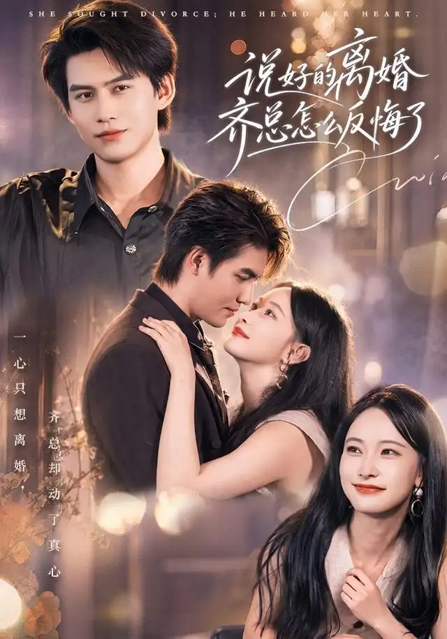 说好的离婚齐总怎么反悔了海报