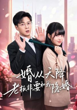 婚从天降老板非要和我隐婚海报