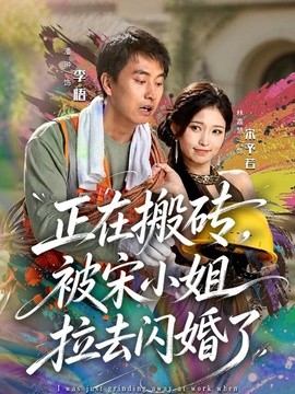 正在搬砖,被宋小姐拉去闪婚了海报