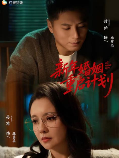 新年婚姻重启计划海报
