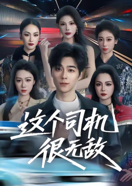 这个司机很无敌海报