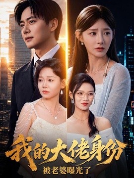 我的大佬身份被老婆曝光了海报