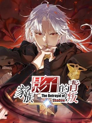家族影子的背叛海报