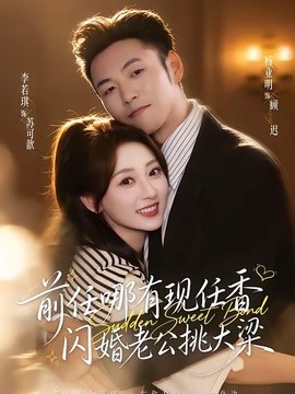 前任哪有现任香,闪婚老公挑大梁海报