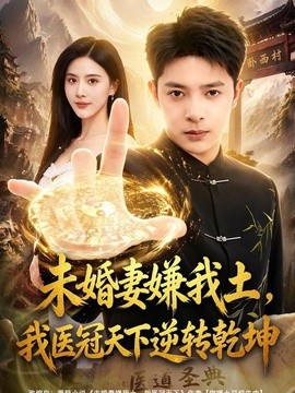 未婚妻嫌我土,我医冠天下逆转乾坤海报