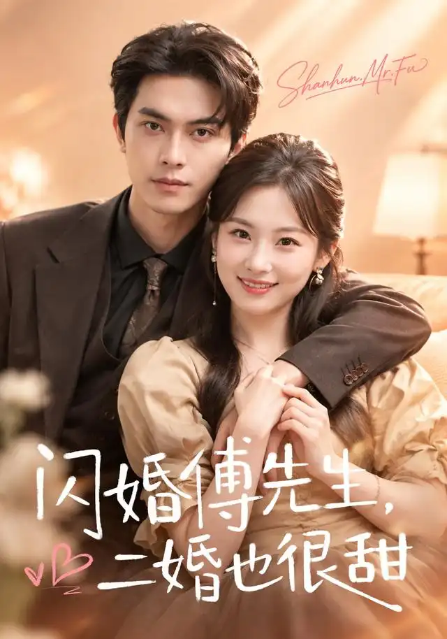 闪婚傅先生,二婚也很甜海报