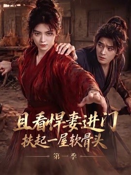 且看悍妻进门:扶起一屋软骨头海报