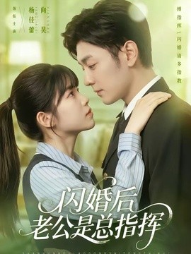 闪婚后老公是总指挥海报