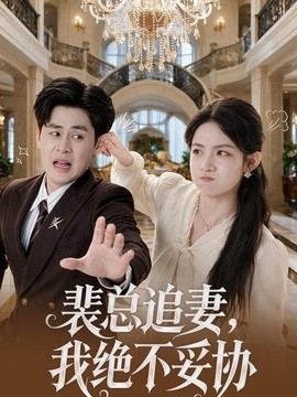 裴总追妻,我绝不妥协海报
