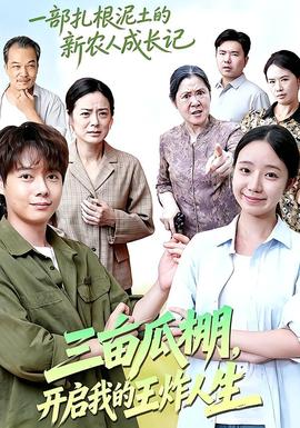 三亩瓜棚,开启我的王炸人生海报