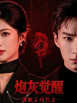炮灰觉醒,原配不伺候了海报