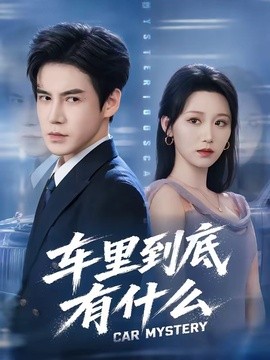 车里到底有什么海报
