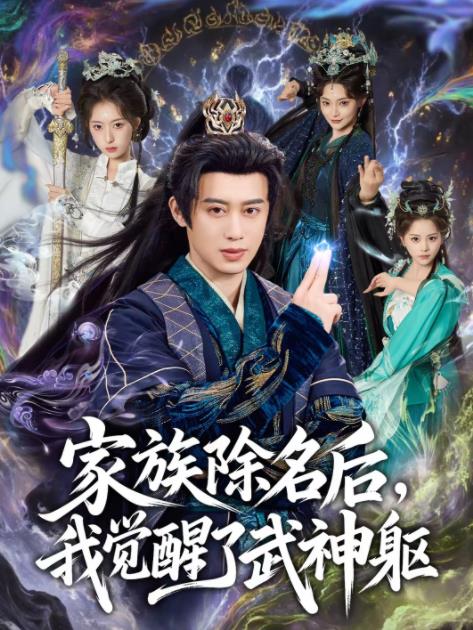 家族除名后,我觉醒了武神躯海报