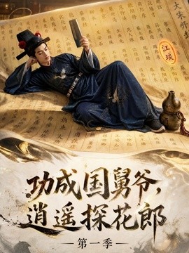 功成国舅爷,逍遥探花郎海报