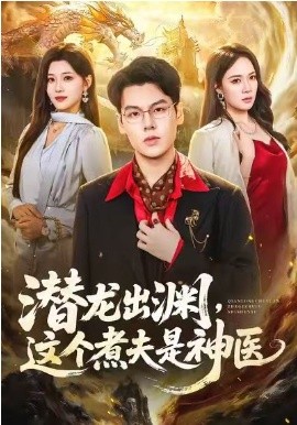 潜龙出渊,这个煮夫是神医海报