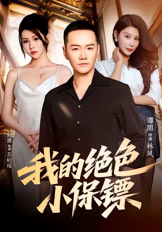 我的绝色小保镖海报