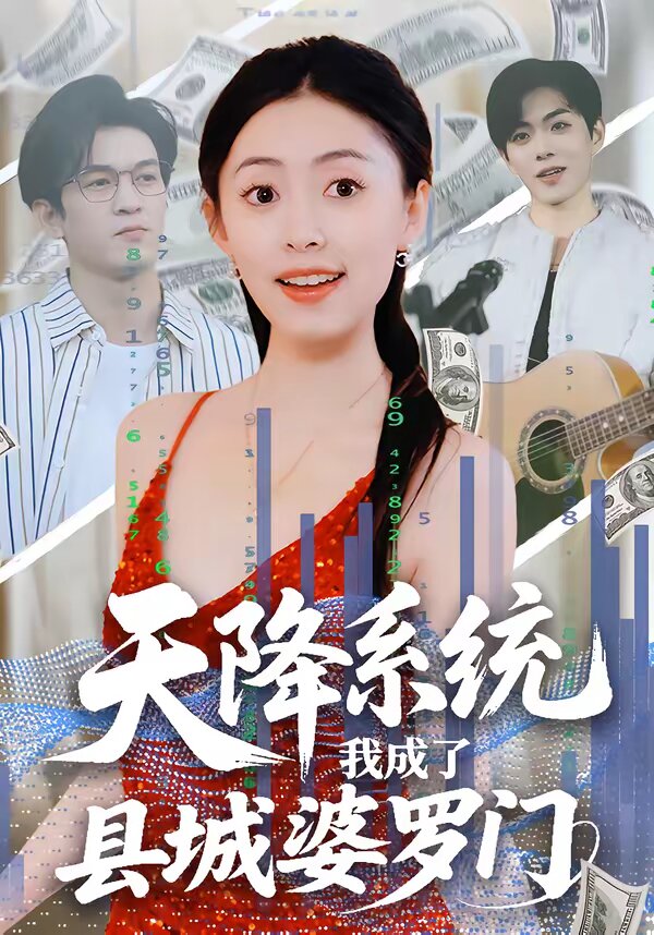 天降系统,我成了县城婆罗门海报