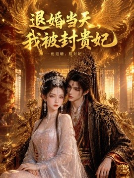 退婚当天,我被封贵妃海报