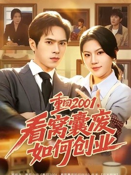 重回2001,看窝囊废如何创业海报