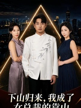 下山归来,我成了女总裁的靠山海报
