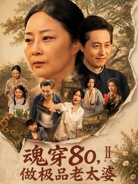 魂穿80,做极品老太婆海报
