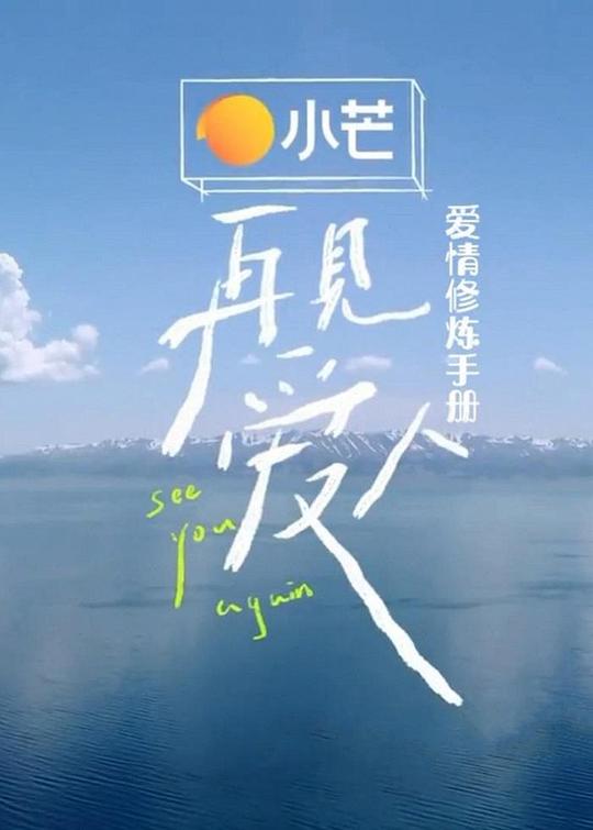 再见爱人爱情修炼手册海报