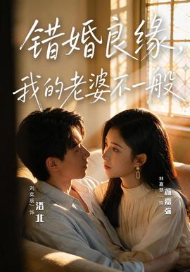 错婚良缘,我的老婆不一般海报