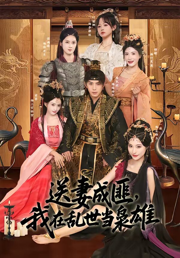 送妻成匪,我在乱世当枭雄海报
