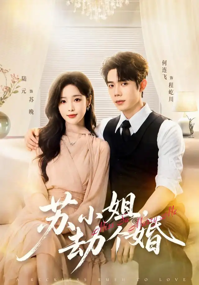 苏小姐,劫个婚海报