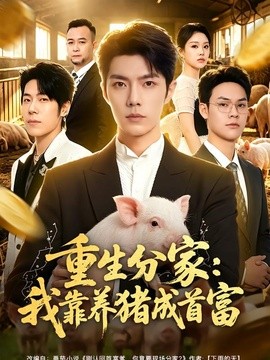 重生分家:我靠养猪成首富海报