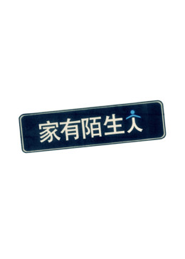 家有陌生人海报