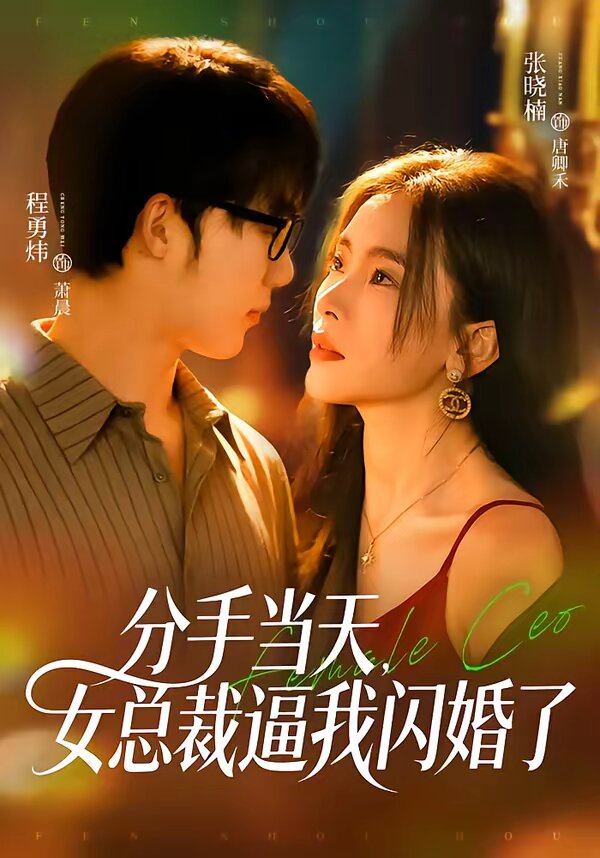分手当天,女总裁逼我闪婚了海报