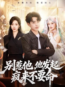 别惹他,他发起疯来不要命海报