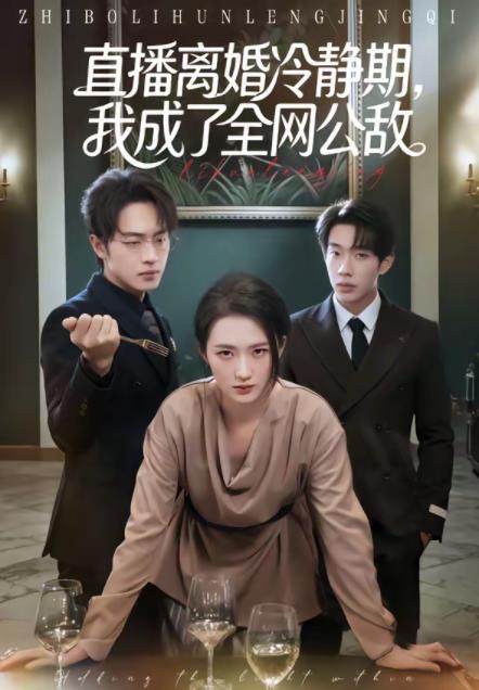 直播离婚冷静期,我成了全网公敌海报