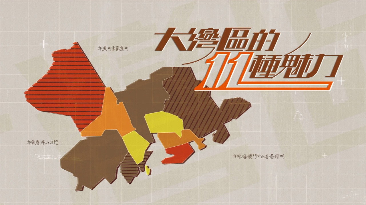 大湾区的11种魅力剧照