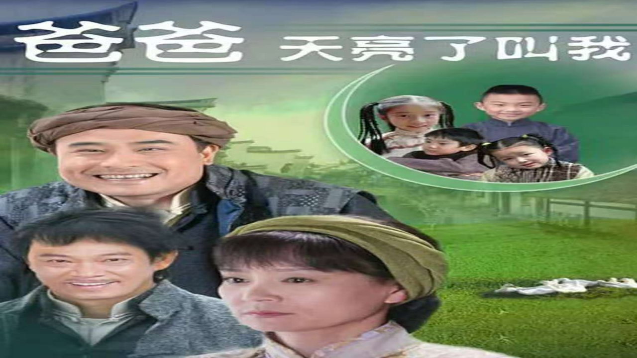 爸爸天亮叫我剧照