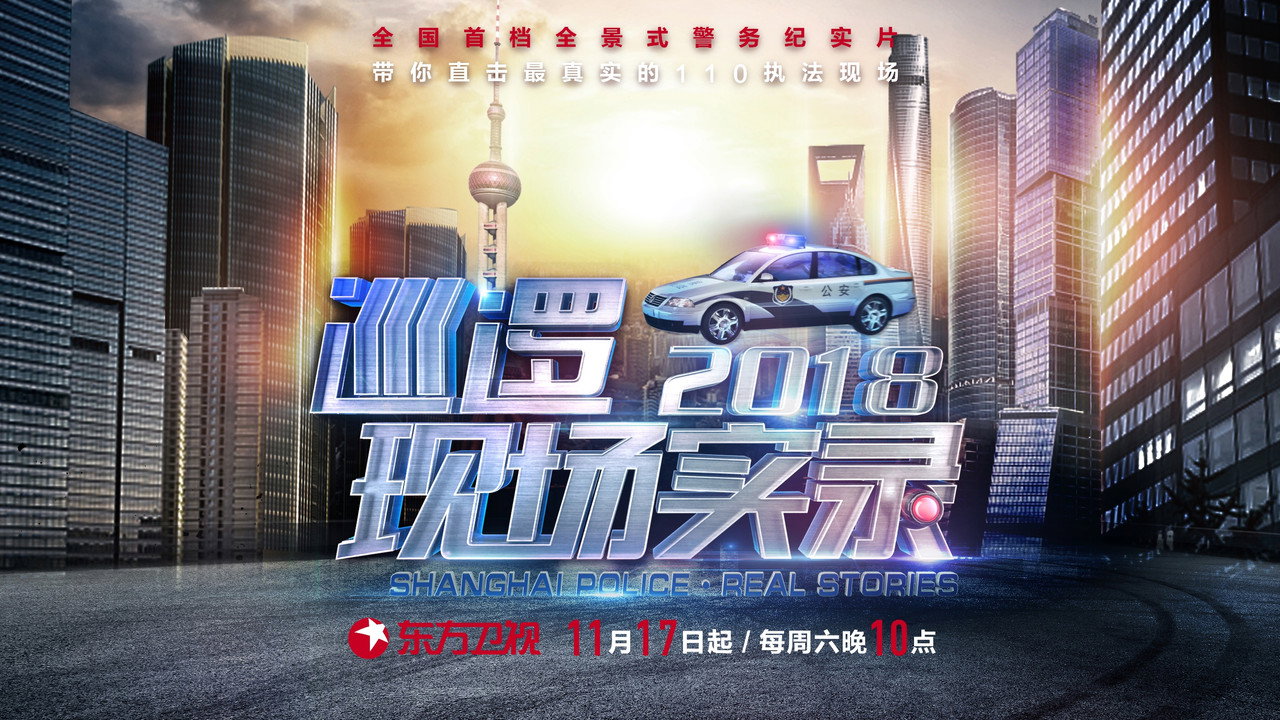 巡逻现场实录剧照
