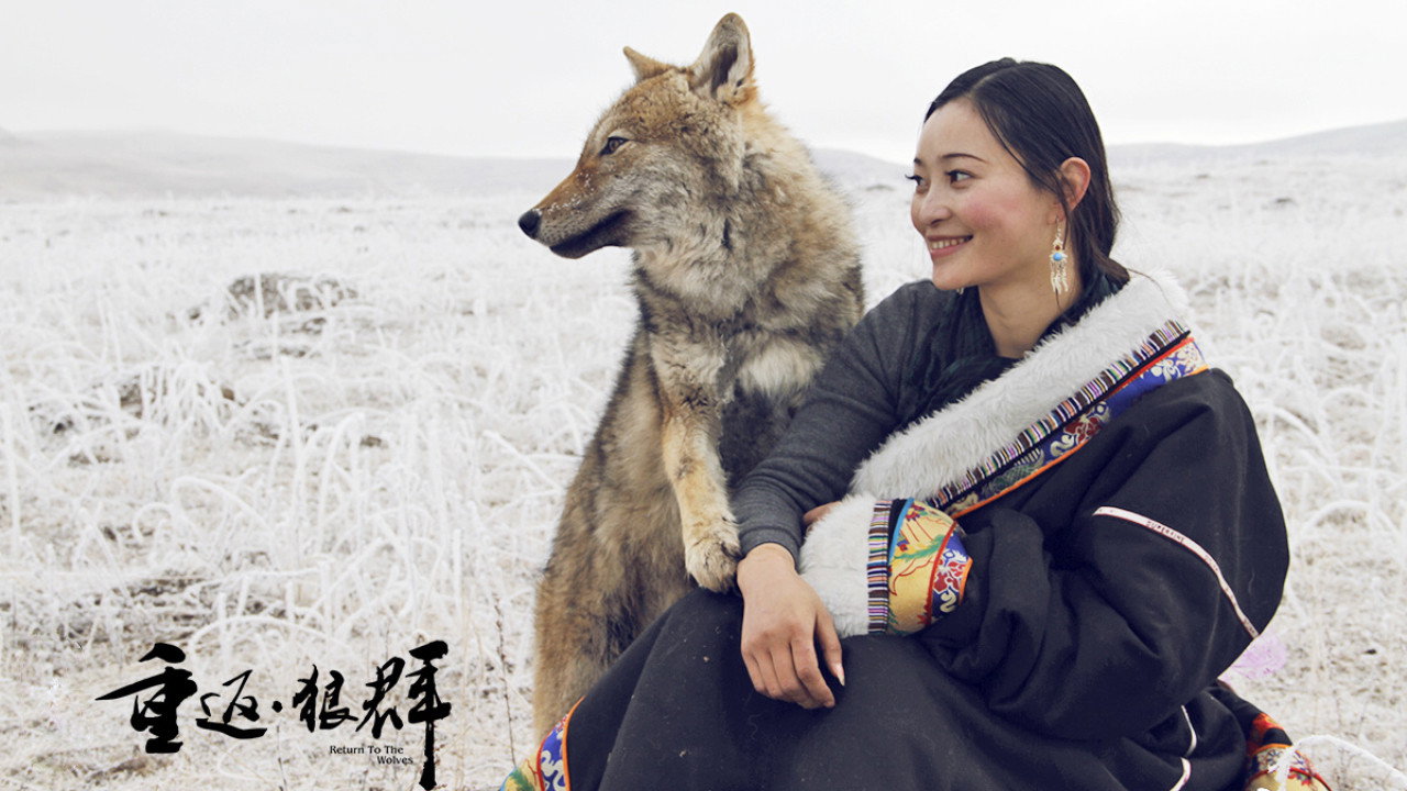 重返狼群：10周年特别纪念版剧照