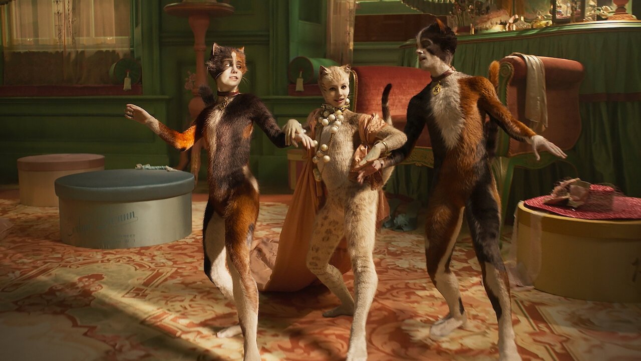 猫剧照