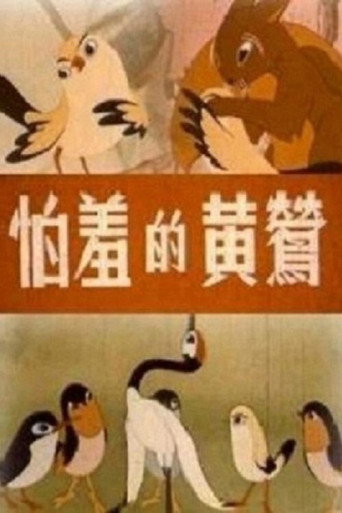 怕羞的黄莺海报