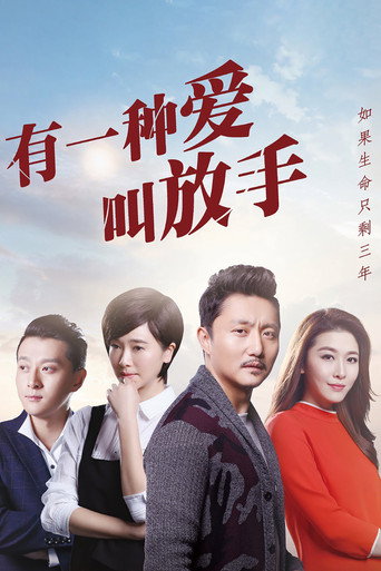 有一种爱叫放手海报
