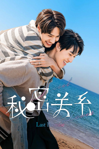 秘密关系:最后的约束海报