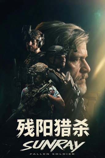 残阳猎杀海报