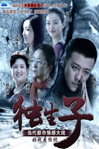 独生子海报