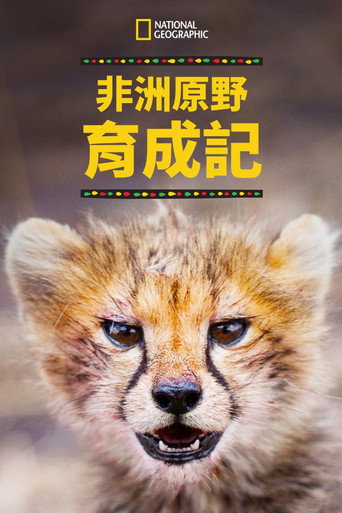 非洲原野育成记海报